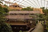 leipzig zoo-01_07_2011_gondwanaland_120
